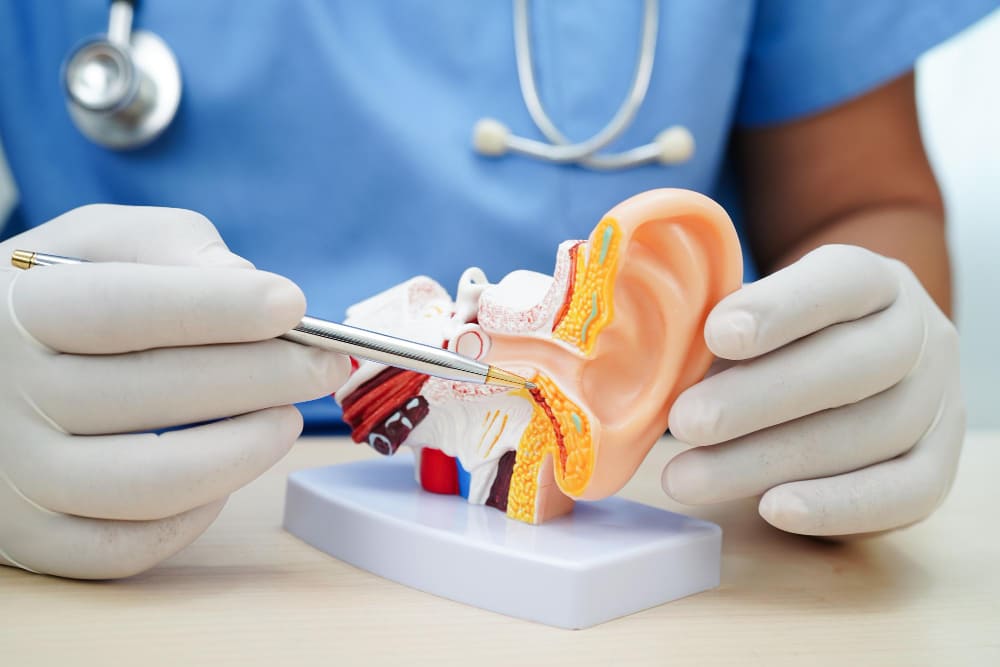  صفير الأذن: الأسباب والعلاج ومتى تستشير الطبيب؟