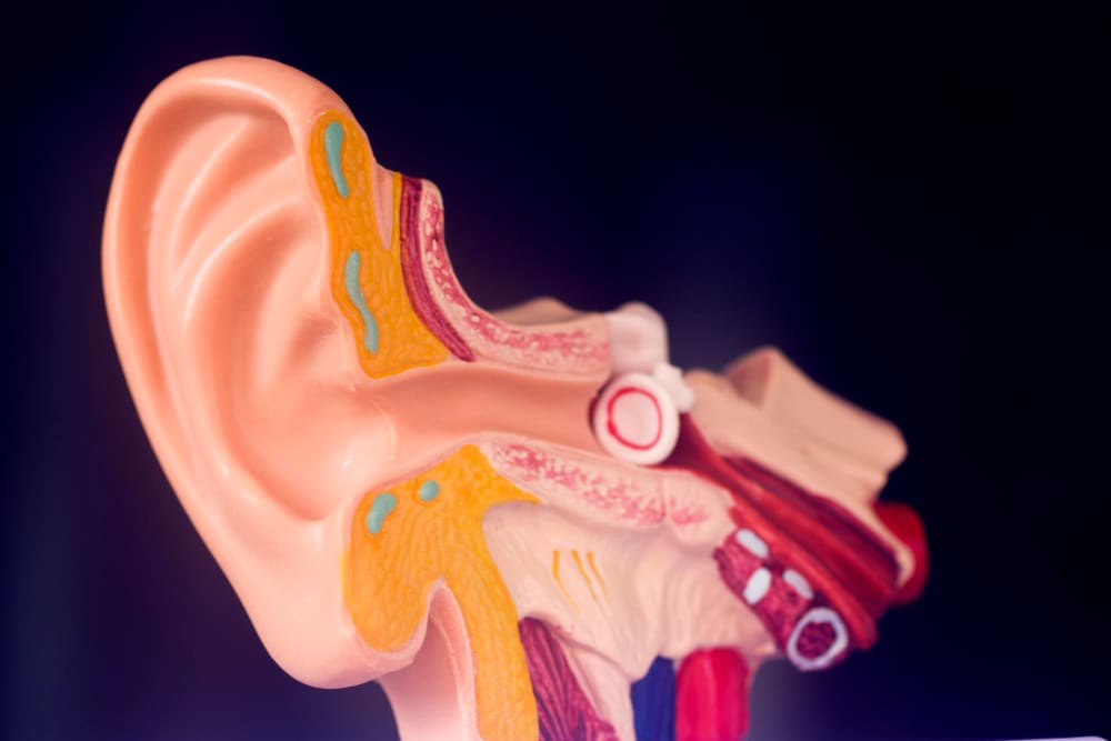 علاج ثقب طبلة الأذن بدون جراحة